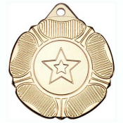 Tudor Rose Medal + Ribbon G/S/B feature image