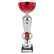 Energy Cup Red feature image